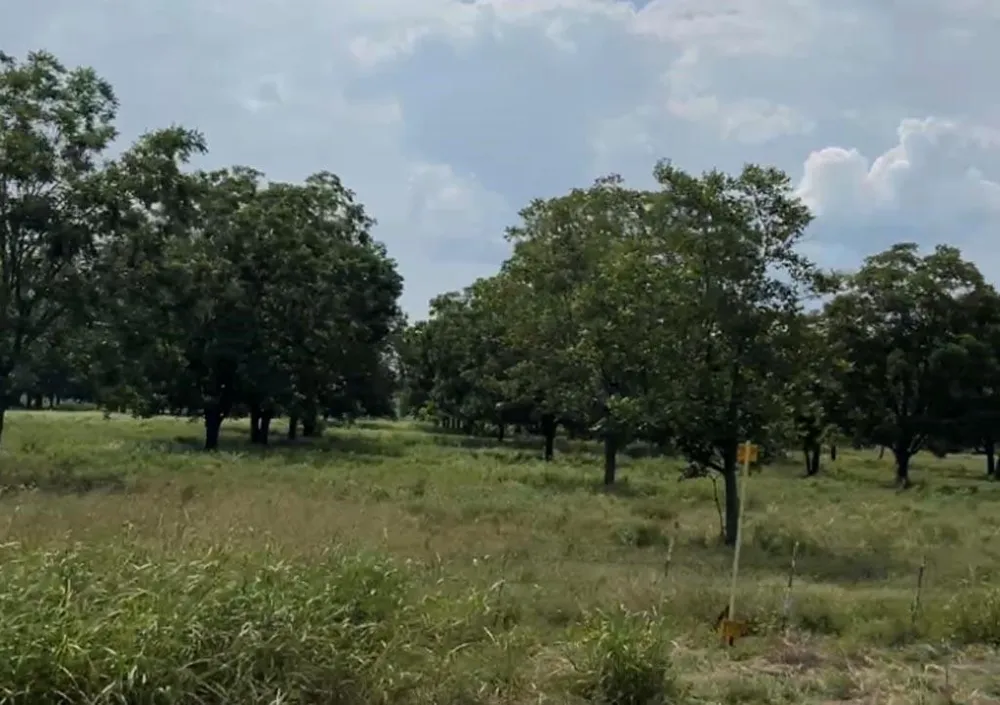 2 Fm 2548 Midway, TX 75852