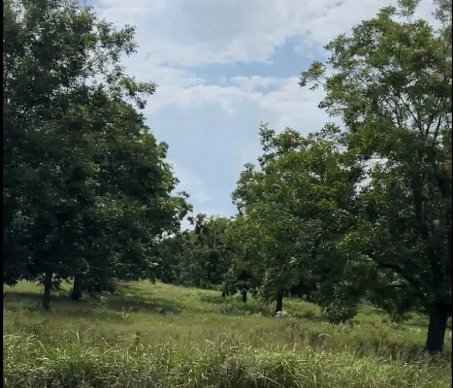 2 Fm 2548 Midway, TX 75852