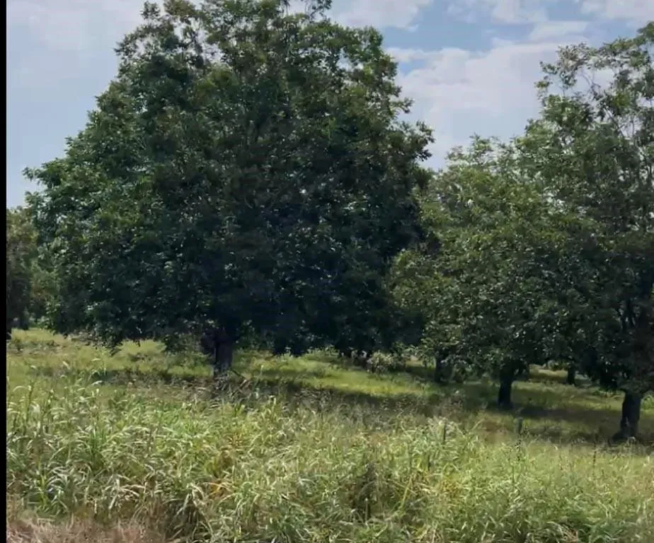 2 Fm 2548 Midway, TX 75852