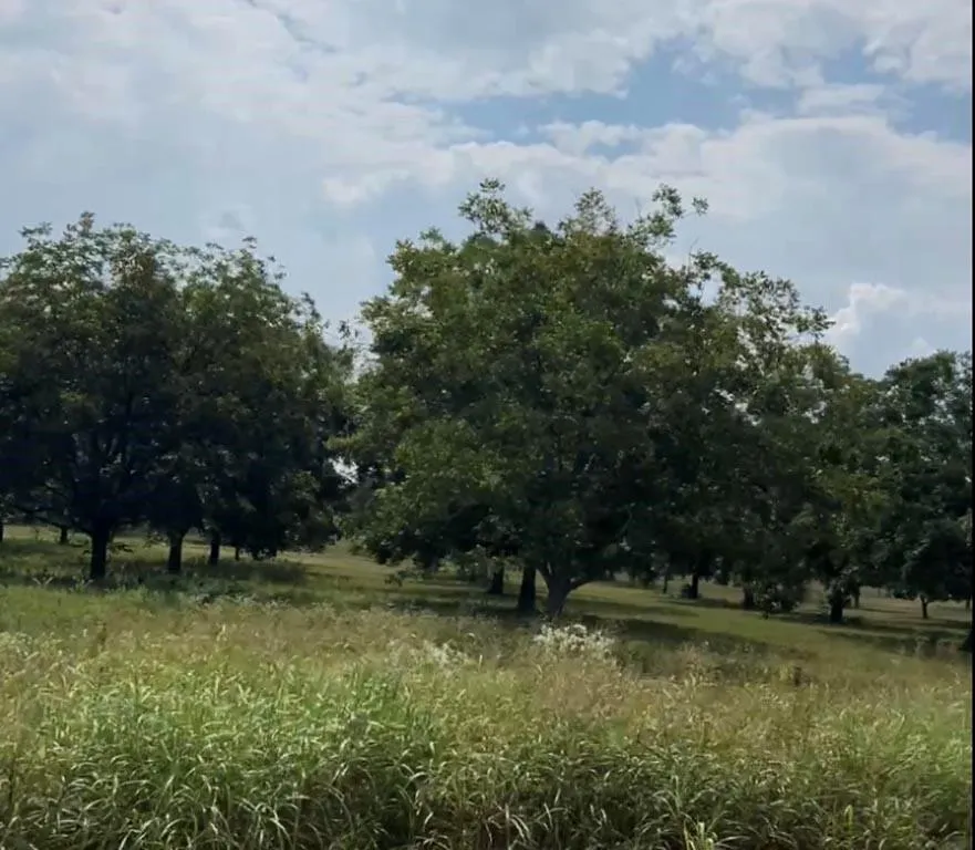 2 Fm 2548 Midway, TX 75852