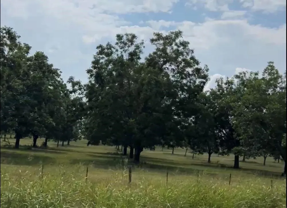 2 Fm 2548 Midway, TX 75852