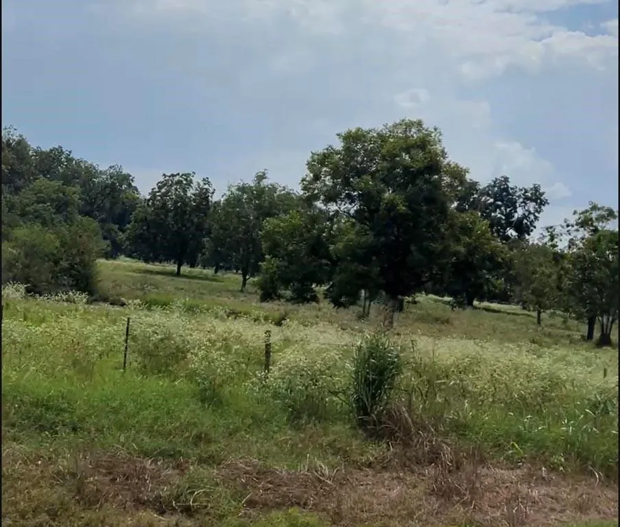 4 Fm 2548 Midway, TX 75852