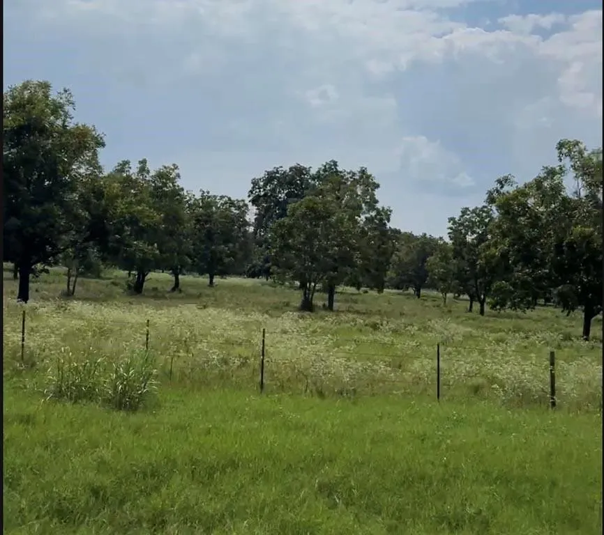 4 Fm 2548 Midway, TX 75852
