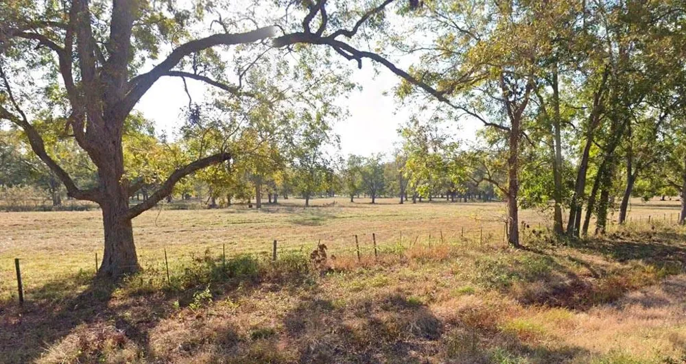 20 Fm 2548 Midway, TX 75852