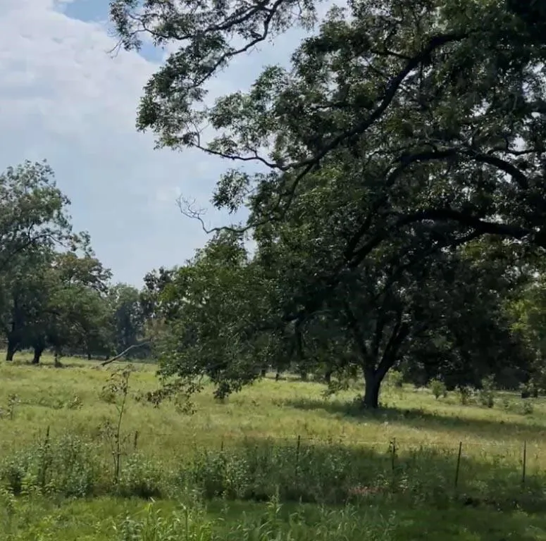 20 Fm 2548 Midway, TX 75852