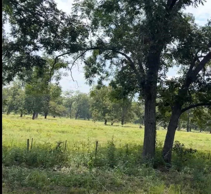 20 Fm 2548 Midway, TX 75852