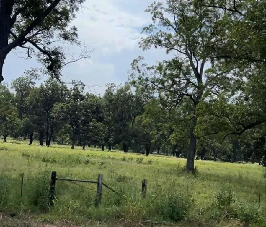 20 Fm 2548 Midway, TX 75852