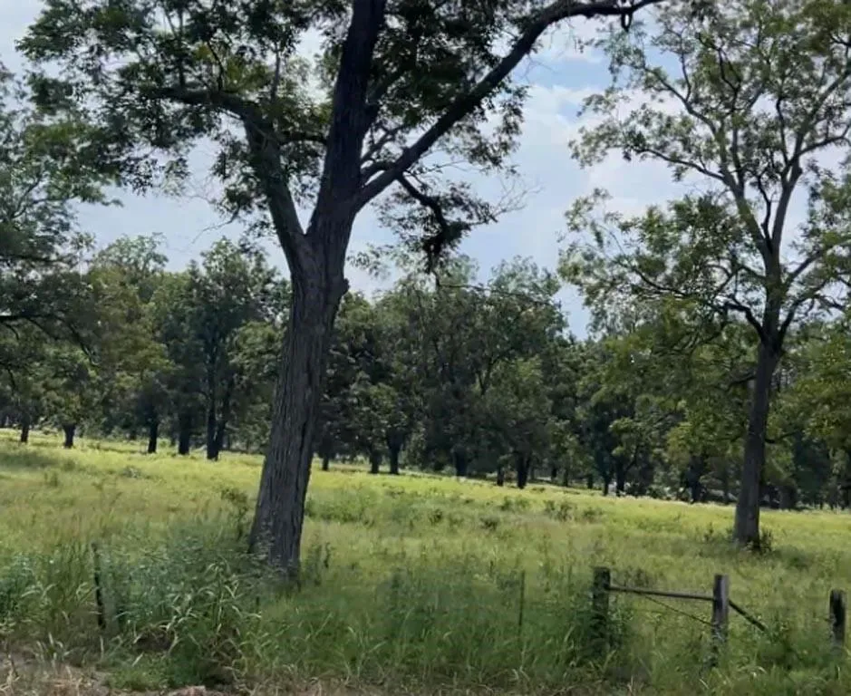 20 Fm 2548 Midway, TX 75852