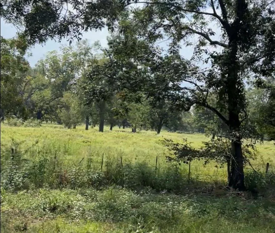 20 Fm 2548 Midway, TX 75852