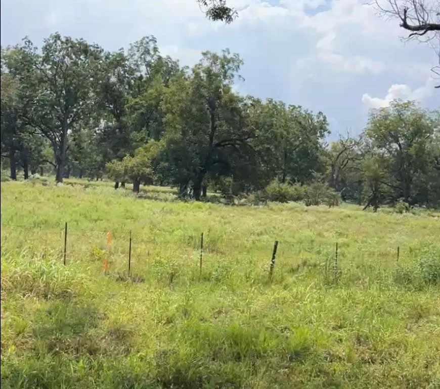 20 Fm 2548 Midway, TX 75852