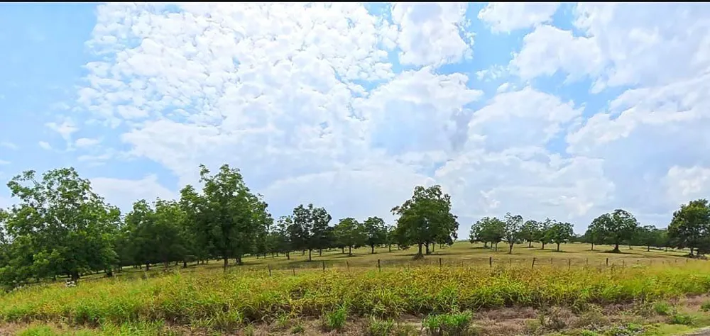 1 Hwy 21 E Midway, TX 75852