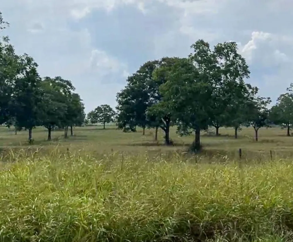 1 Hwy 21 E Midway, TX 75852