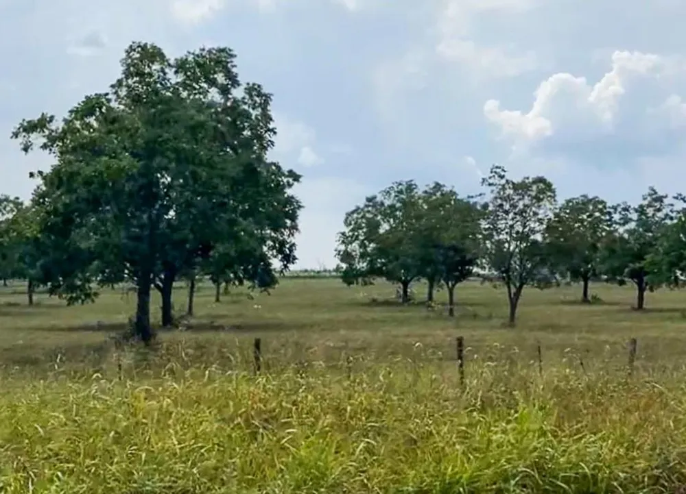 1 Hwy 21 E Midway, TX 75852