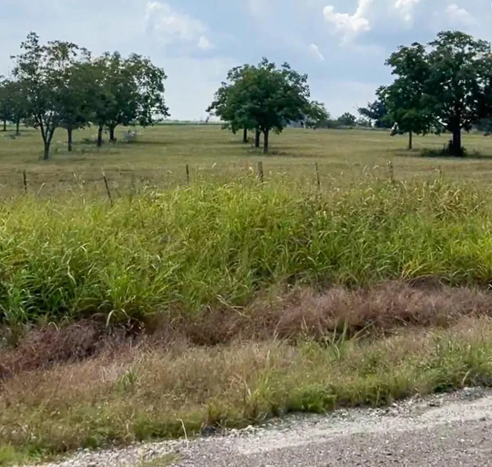 1 Hwy 21 E Midway, TX 75852