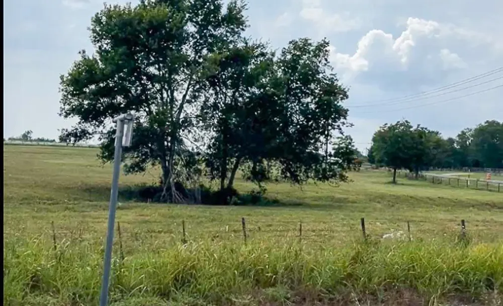 1 Hwy 21 E Midway, TX 75852