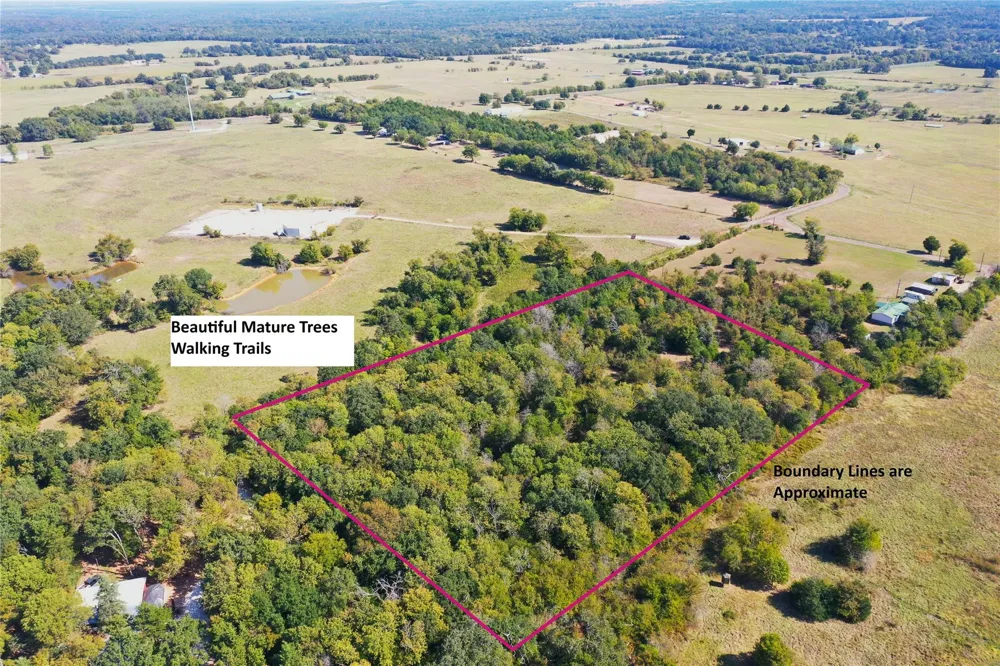 County Road 520 Fairfield, TX 75840
