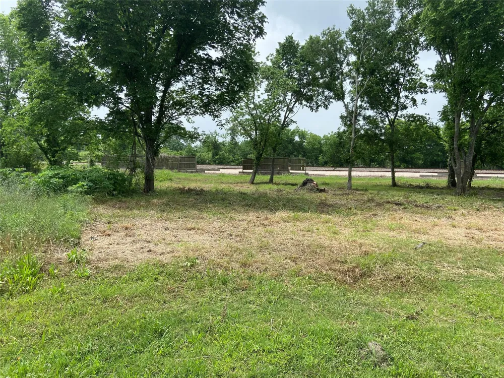 Rice Ave Avenue Arcola, TX 77583