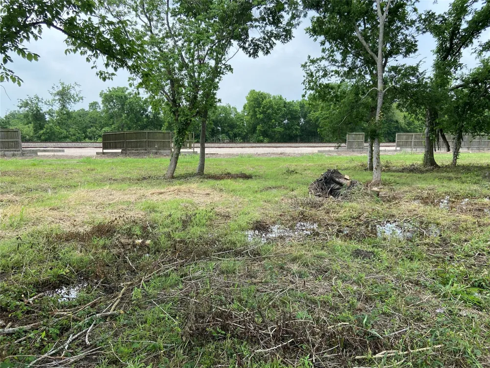 Rice Ave Avenue Arcola, TX 77583
