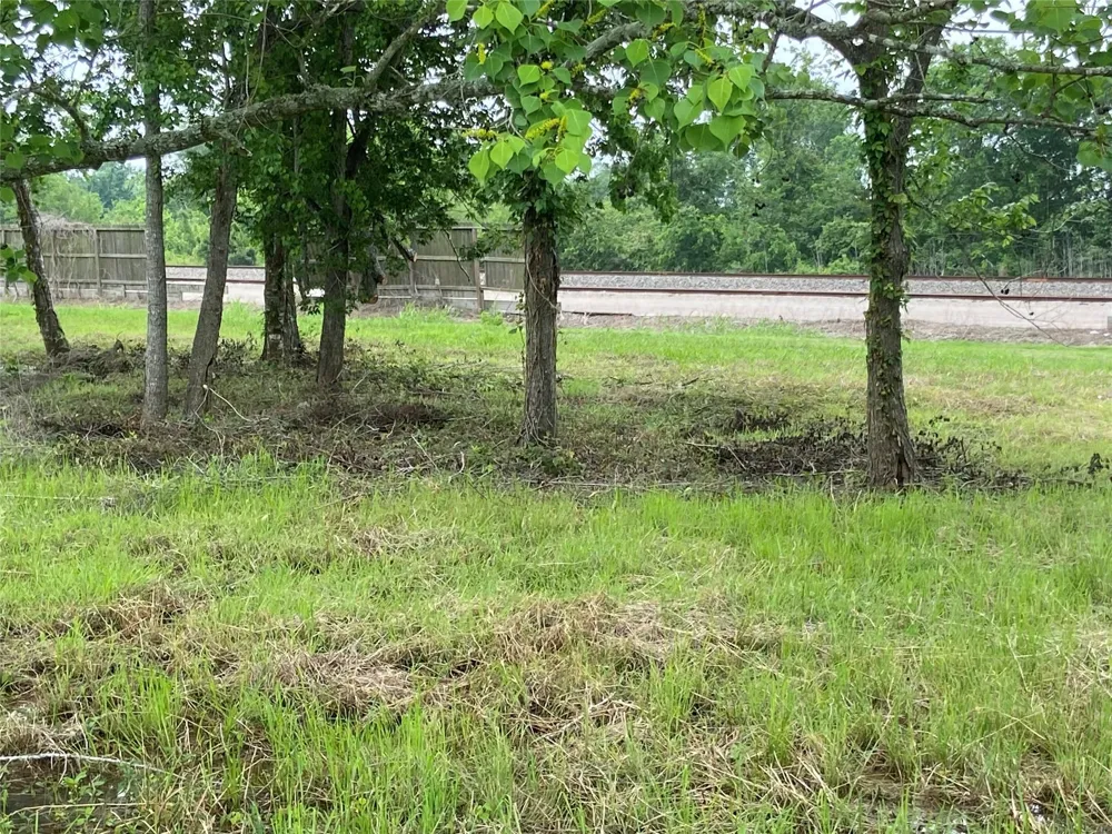 Rice Ave Avenue Arcola, TX 77583