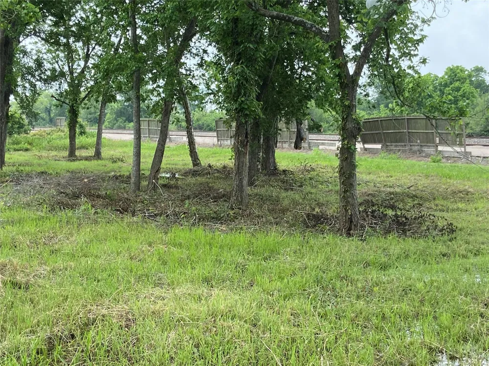 Rice Ave Avenue Arcola, TX 77583