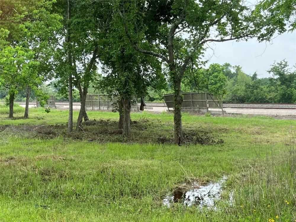 Rice Ave Avenue Arcola, TX 77583