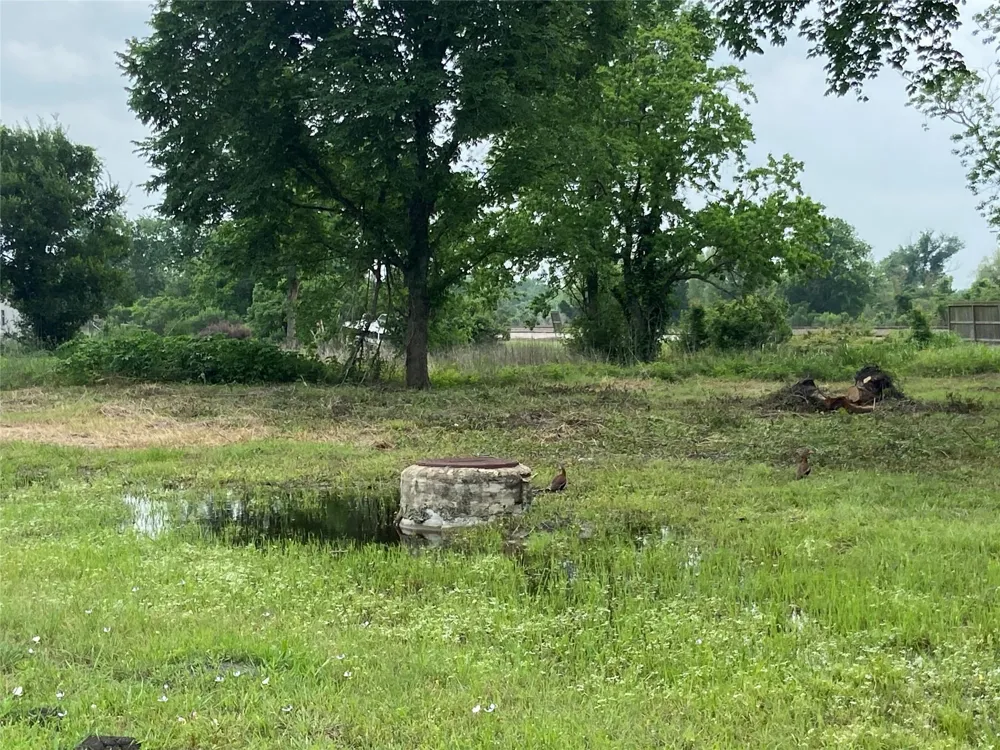 Rice Ave Avenue Arcola, TX 77583