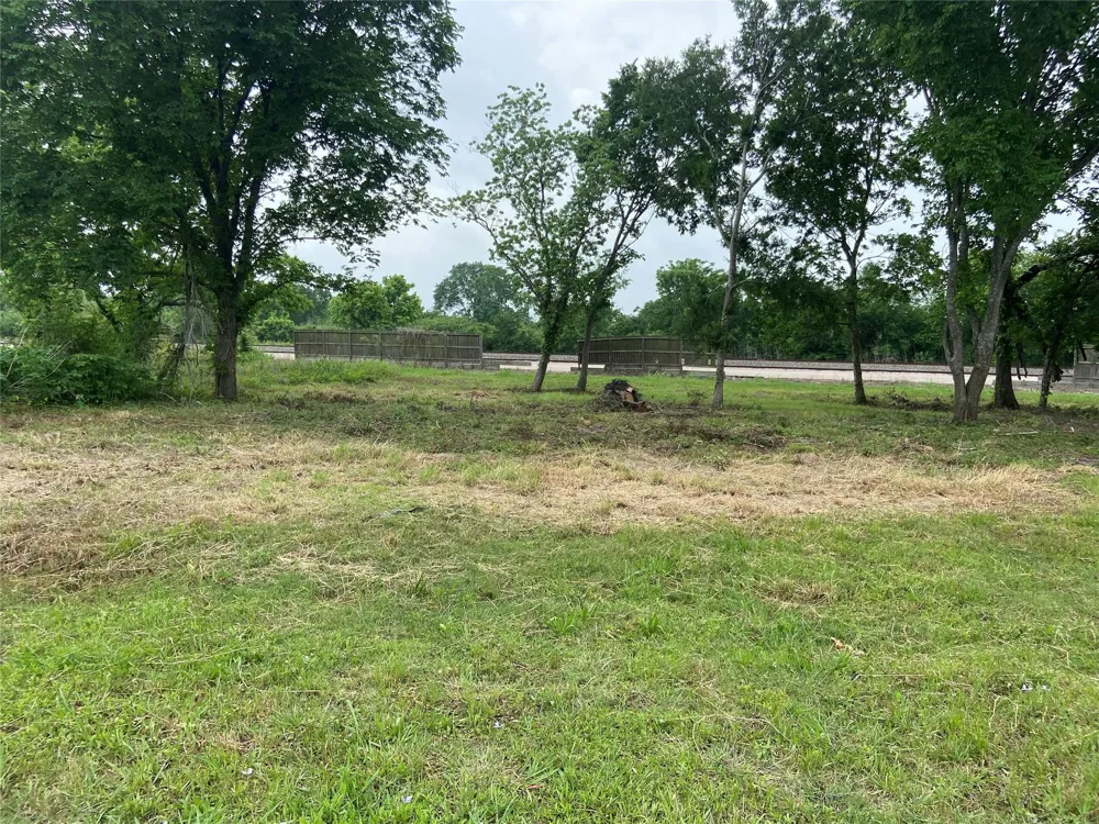 Rice Ave Avenue Arcola, TX 77583