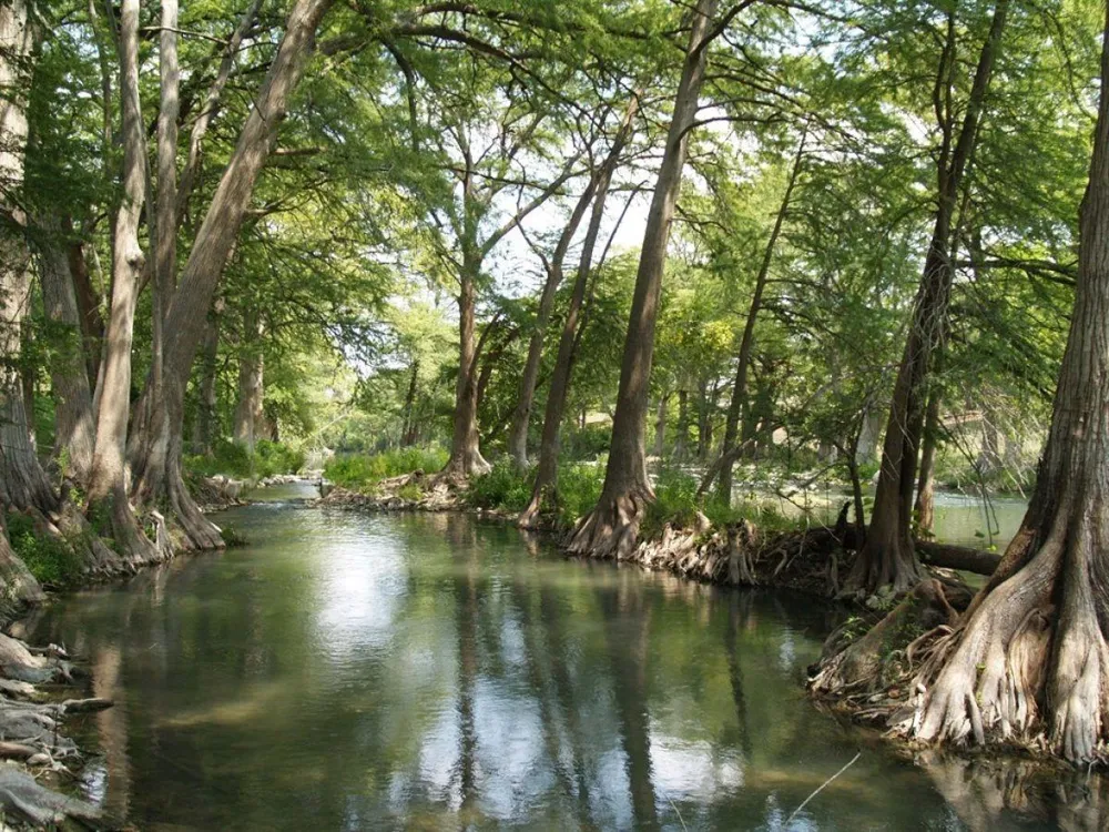 730 E Mather Street #L101 New Braunfels, TX 78130
