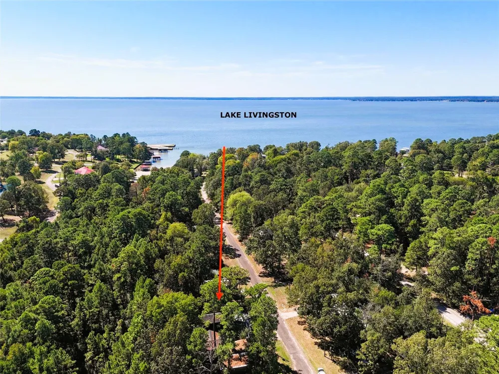 458 Rain Forest Road Onalaska, TX 77360