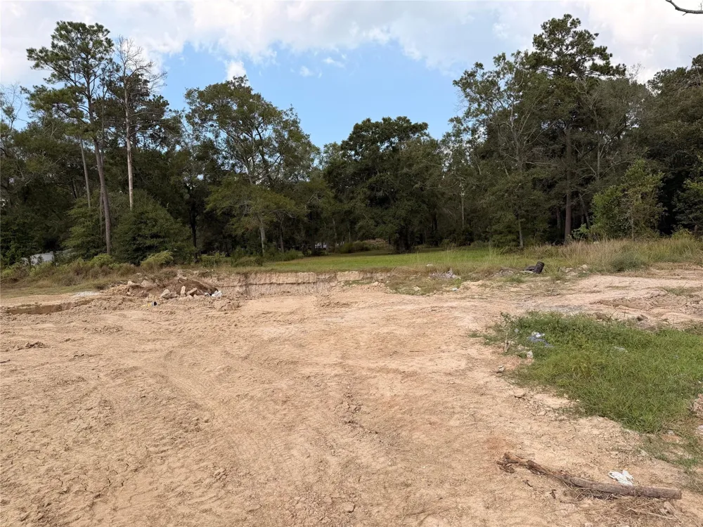 62 Short Leaf Drive Huffman, TX 77336