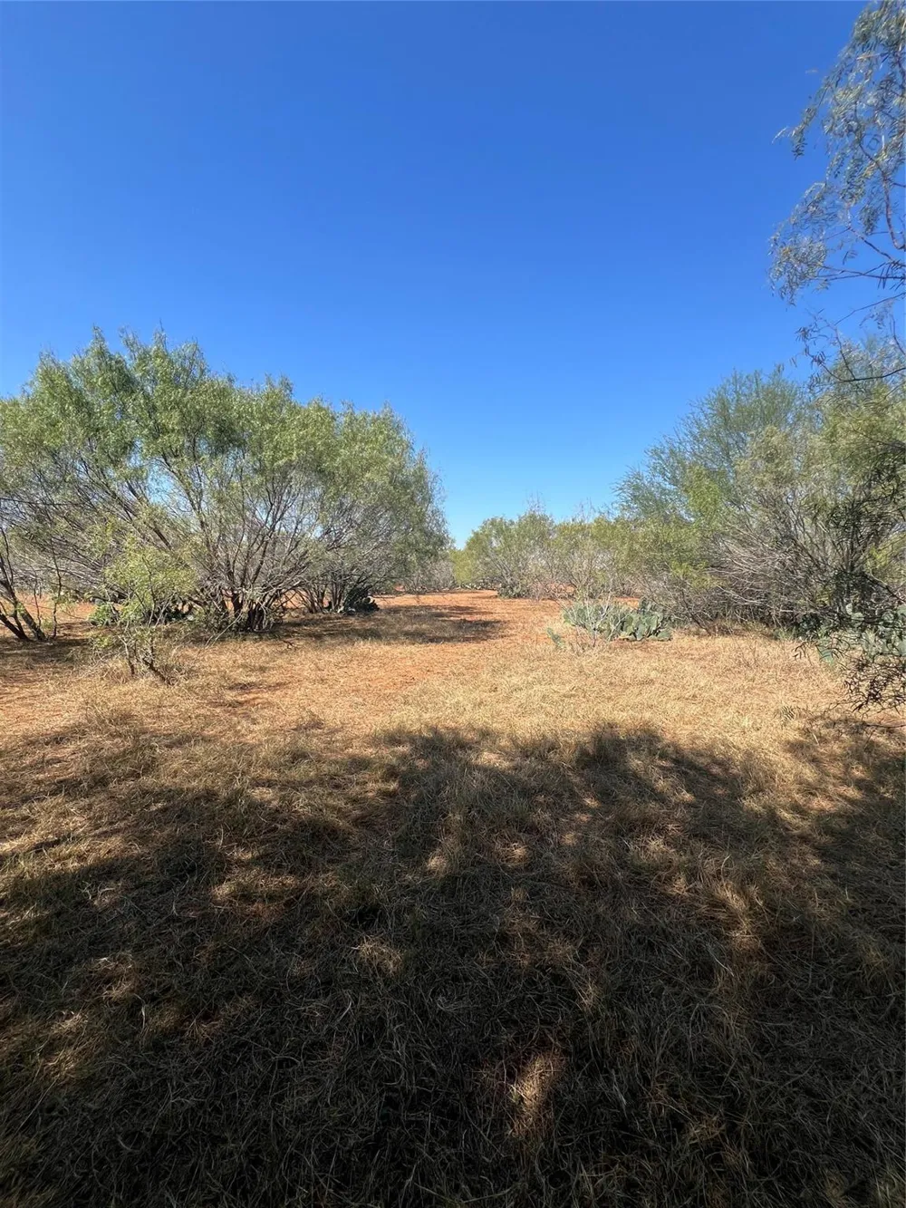 50 Cr 321 Tract 16 J243 Jourdanton, TX 78026