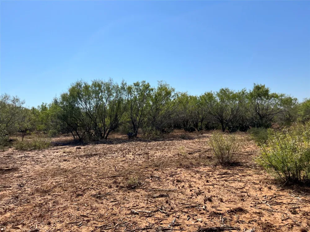 100 Cr 321 Tract 13 Jourdanton, TX 78026