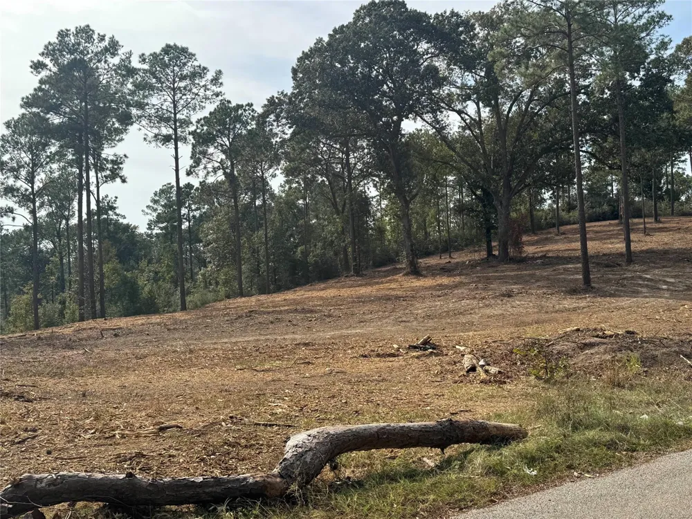 896 County Road 219 Brookeland, TX 75931