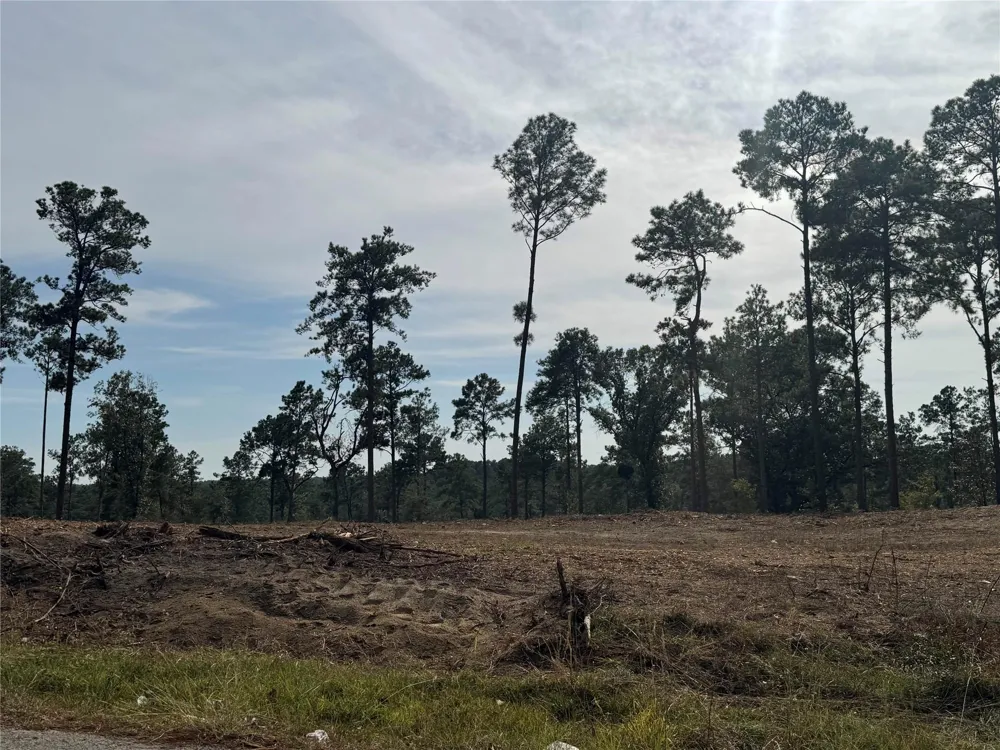 896 County Road 219 Brookeland, TX 75931