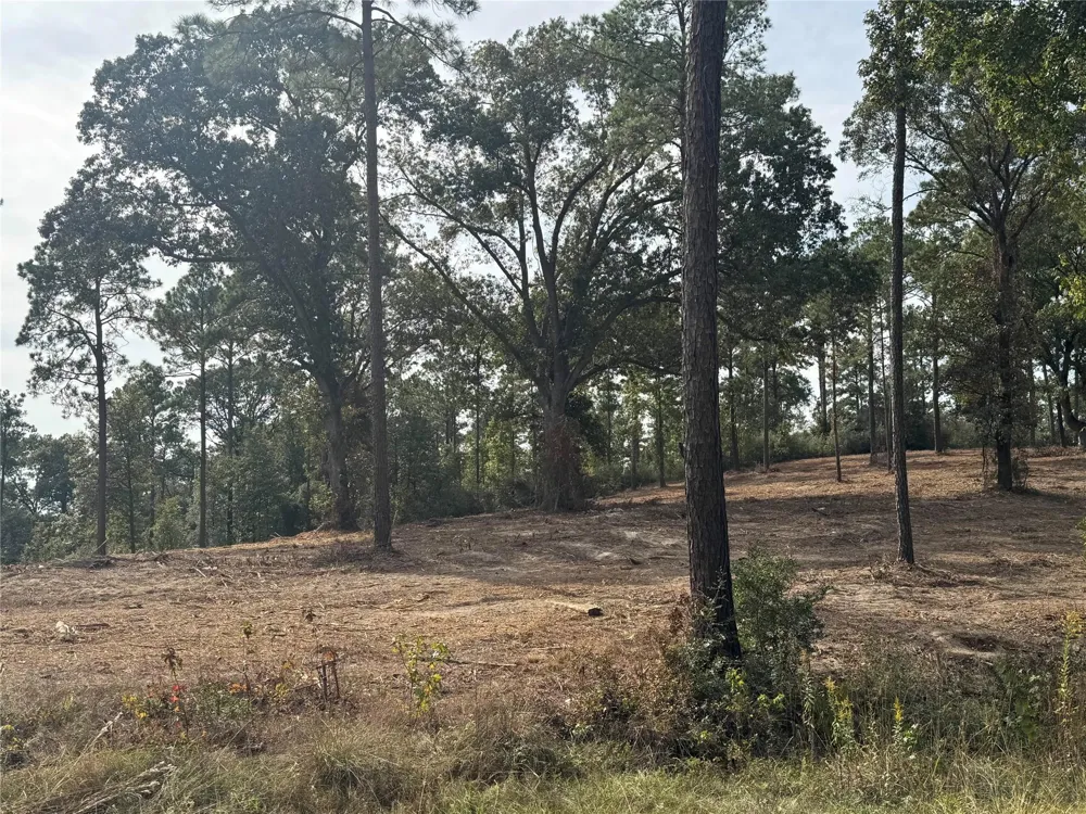 896 County Road 219 Brookeland, TX 75931
