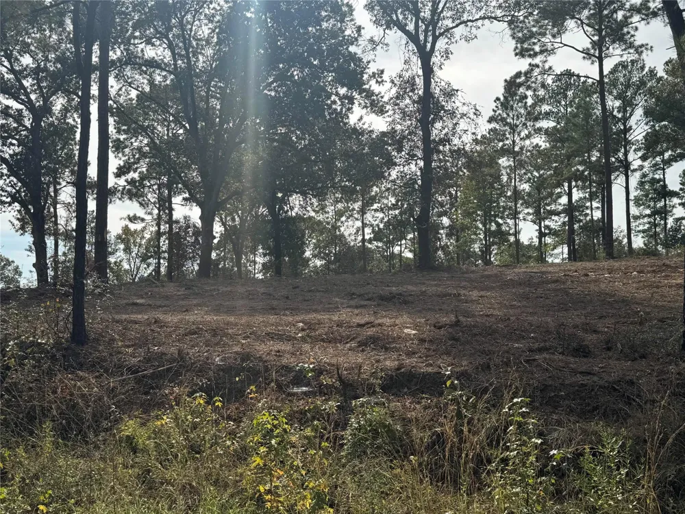 896 County Road 219 Brookeland, TX 75931