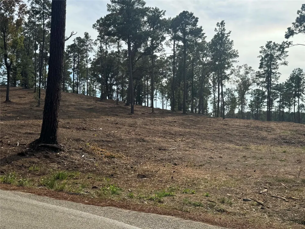 896 County Road 219 Brookeland, TX 75931