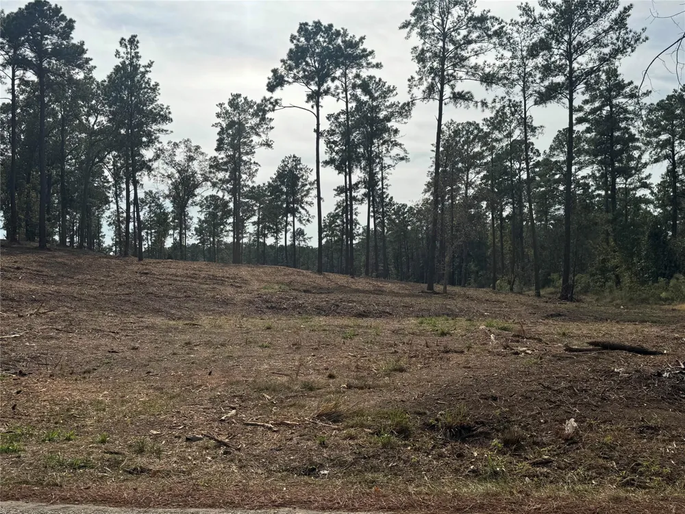 896 County Road 219 Brookeland, TX 75931