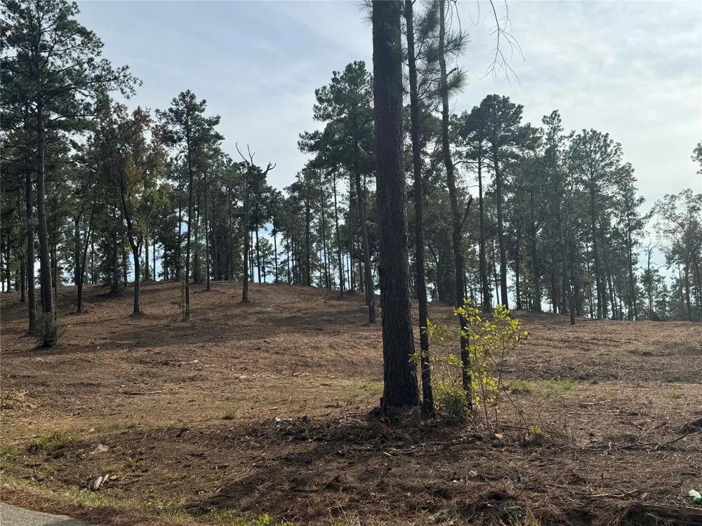 896 County Road 219 Brookeland, TX 75931