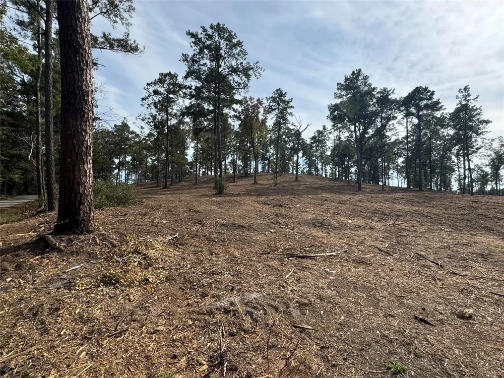 896 County Road 219 Brookeland, TX 75931