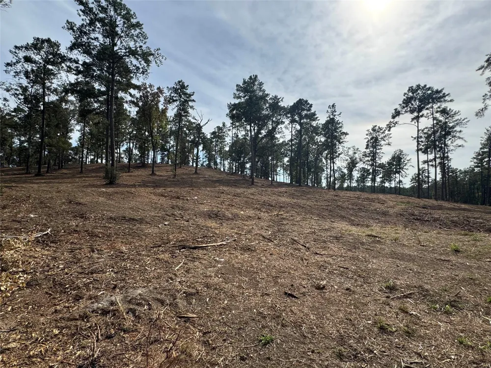 896 County Road 219 Brookeland, TX 75931