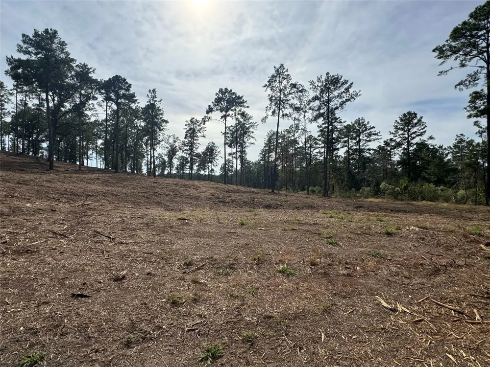 896 County Road 219 Brookeland, TX 75931