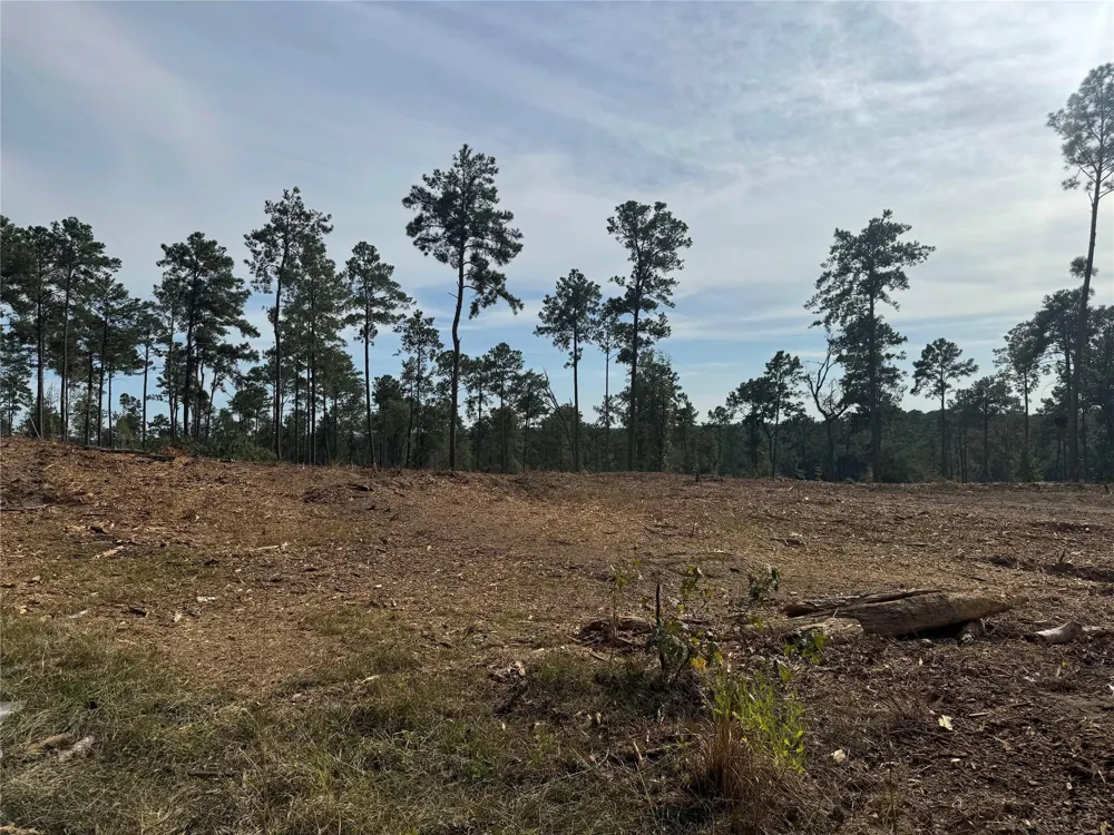 896 County Road 219 Brookeland, TX 75931