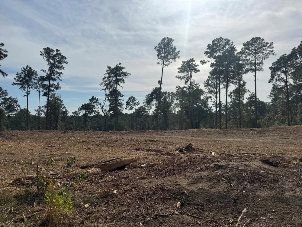 896 County Road 219 Brookeland, TX 75931