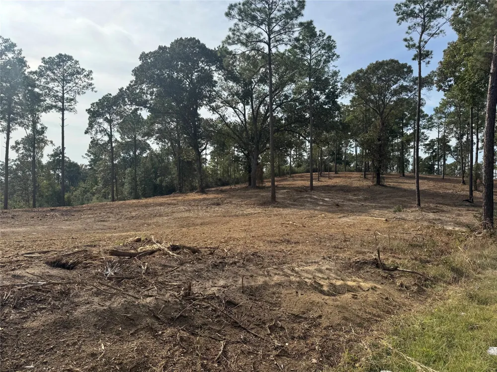 896 County Road 219 Brookeland, TX 75931