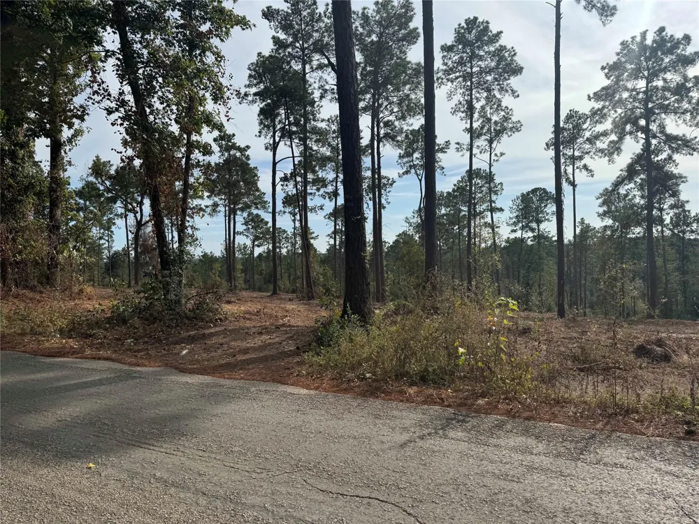 896 County Road 219 Brookeland, TX 75931