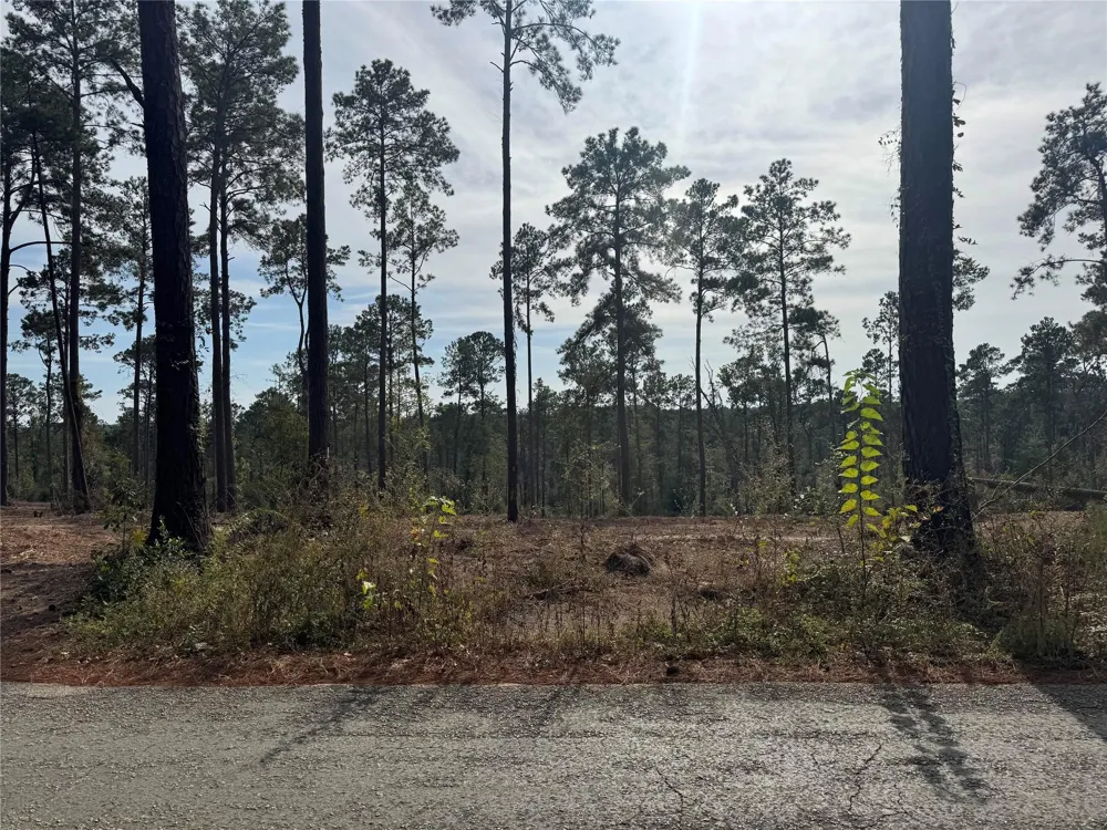 896 County Road 219 Brookeland, TX 75931