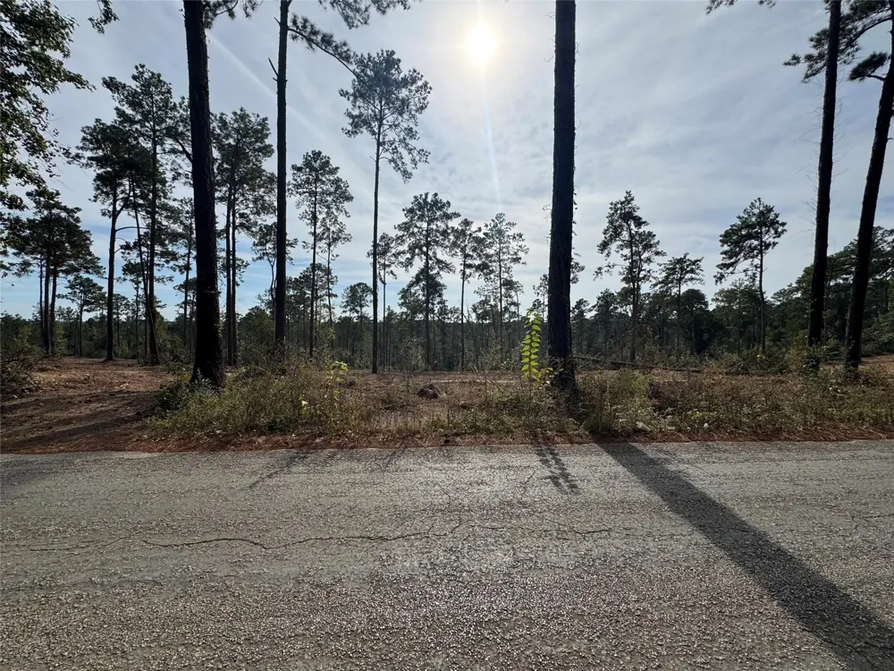 896 County Road 219 Brookeland, TX 75931