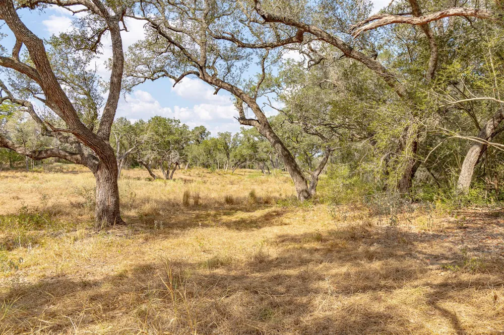 716 L Hrabovsky Road Yoakum, TX 77995