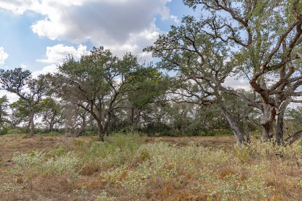 716 L Hrabovsky Road Yoakum, TX 77995